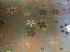 D�tail d�cor sol cuisine