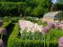Le potager Saint-Jean-de-Beauregard
