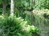 Le jardin 