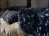 Le linge de maison sign� Mat&jewski