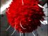 D�tail d'une lampe plume rouge