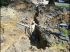 Huit forages ont �t� n�cessaires