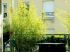 La terrasse am�nag�e