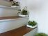 Escalier en fleurs