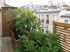Jardini�res