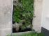 Potagers urbains