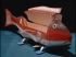 Poisson