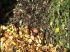 Ne pas n�gliger le compost