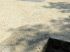La plage 