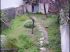 Jardin avant