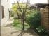 Jardin avant : verger