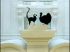 Mises en sc�nes animales