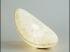 Formes �vocatrices