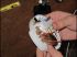 Comment installer un d�tecteur de fum�e ?