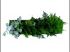 Je compose mon propre tableau v�g�tal...