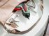 Ixo Bosch Swarovski
