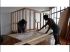 Montage des structures