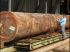 Le mahogany, une essence exotique