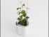 Pots horticoles en c�ramique