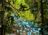 Le jardin bleu