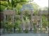 Le jardin de la Belle au Bois Dormant