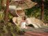 Un jardin psych�-d�lice