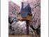 Terunobu Fujimori, Architecte