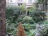 Jardin rue de Seine - Avant