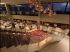 Des lampes m�duses