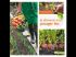 Cr�er son potager bio