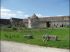Une cour pleine de verdure