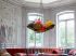 Grappe multicolore