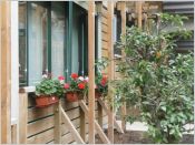 Programme immobilier Planchat-Vignoles