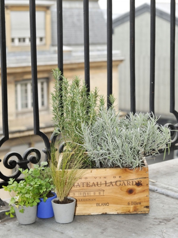 Quelle décoration pour mes pots de fleurs