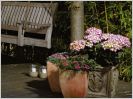 Ambiance romantique dans mon jardin d'hiver...