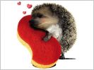 Et vlan ! Les �ponges Spontex f�tent leurs 80 ans