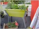 Fleurir son balcon : coup d'oeil sur les nouveaut�s