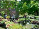 Carnet des tendances du jardin : 10 ans d�j� !