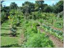 Jardiner sans pesticide, c'est possible !