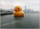Un canard g�ant en plein milieu de la baie de Hong-Kong