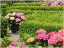 Jardin d'�t�