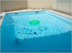 La France, vice-championne du monde en �quipement de piscines