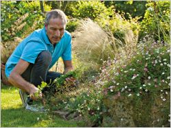 10 conseils de pro pour r�ussir son jardin