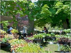 Carnet des tendances du jardin : 10 ans d�j� !