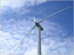 Eolien : la seule nuisance visuelle ne suffit pas � stopper un projet