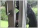 cambrioleur securite