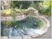 Bassin jardin