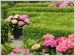 Jardin �t� - Jardiland