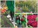 Livres jardin