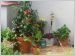 Dix conseils plantes vacances